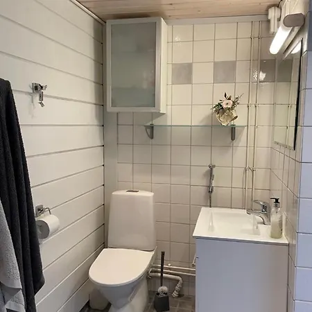 Ferienhaus Valkeinen Nilsiä